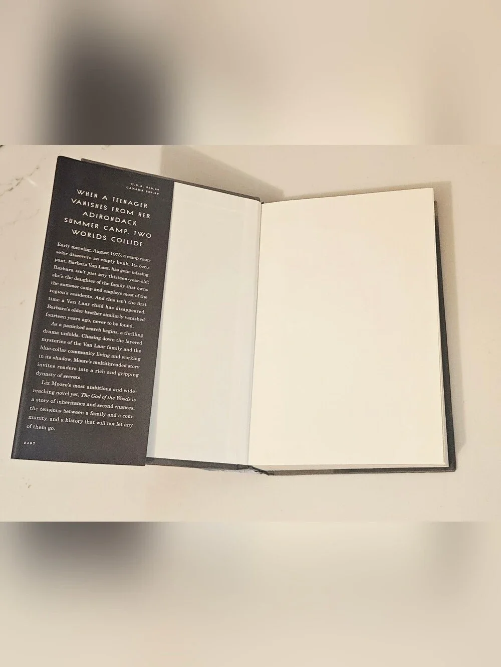 bestseller liz moore